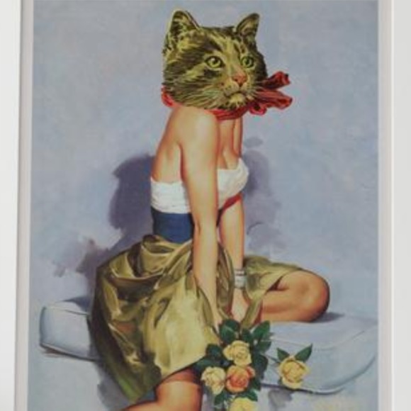kittyclawsit